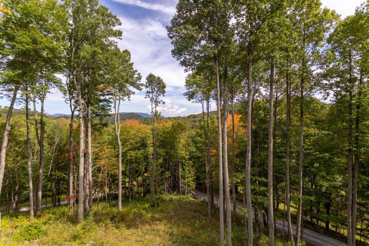 Matney Ridge Estate Βίλα Banner Elk Εξωτερικό φωτογραφία